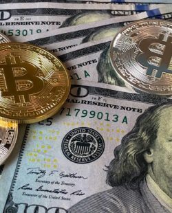 ICO vs. STO vs. IEO